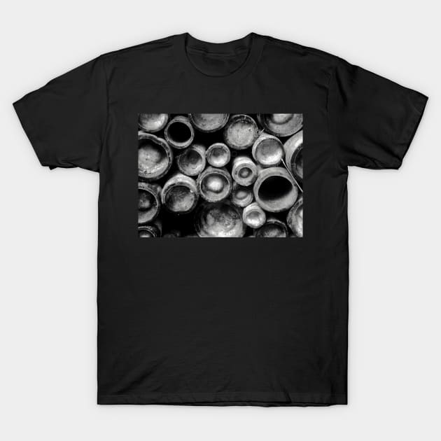 Bamboo T-Shirt by newbeltane